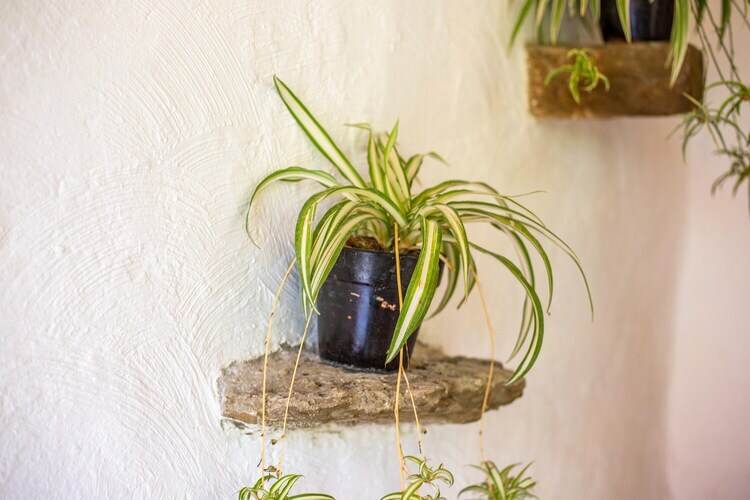 La Bergerie - Maison avec jardin clos à Berre-Les-Alpes - Photo 26