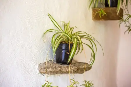 La Bergerie - Maison avec jardin clos à Berre-Les-Alpes : photo 26