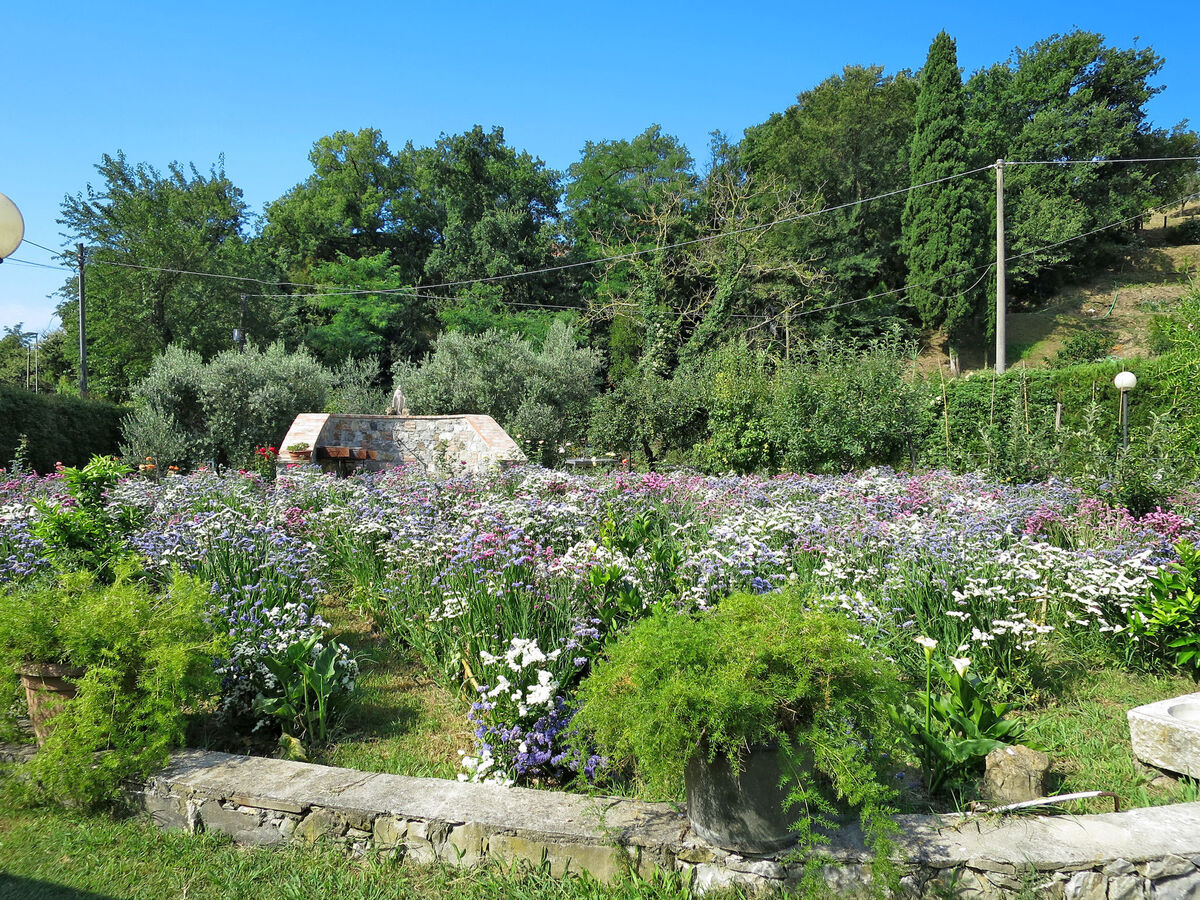 Villetta Luciana – Maison 6 pers. avec piscine à Sestri Levante - Photo 32