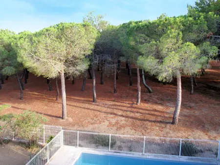 Appartement Les Pins Parasols – 250 m de la plage : photo 16