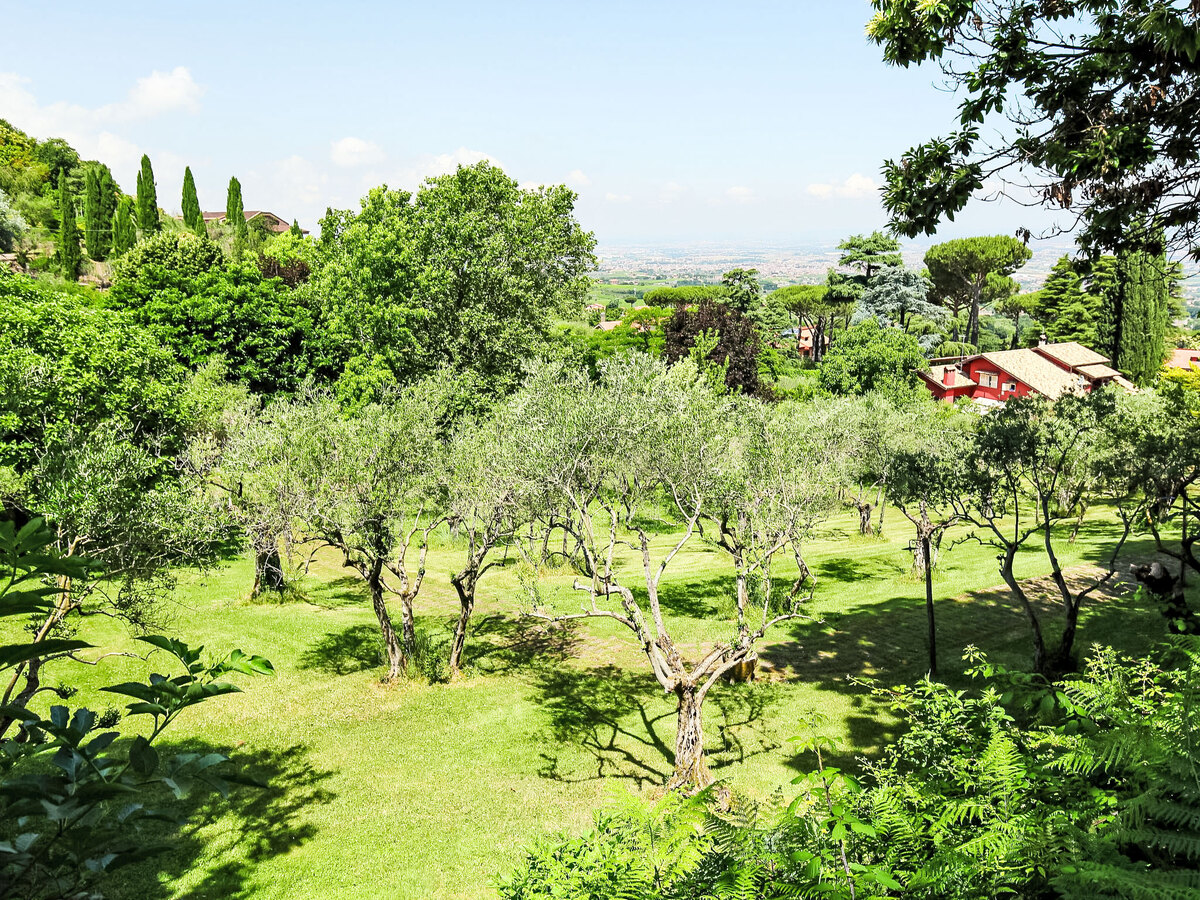 Villa Mina - 10 pers., piscine et vue sur Rome - Photo 46