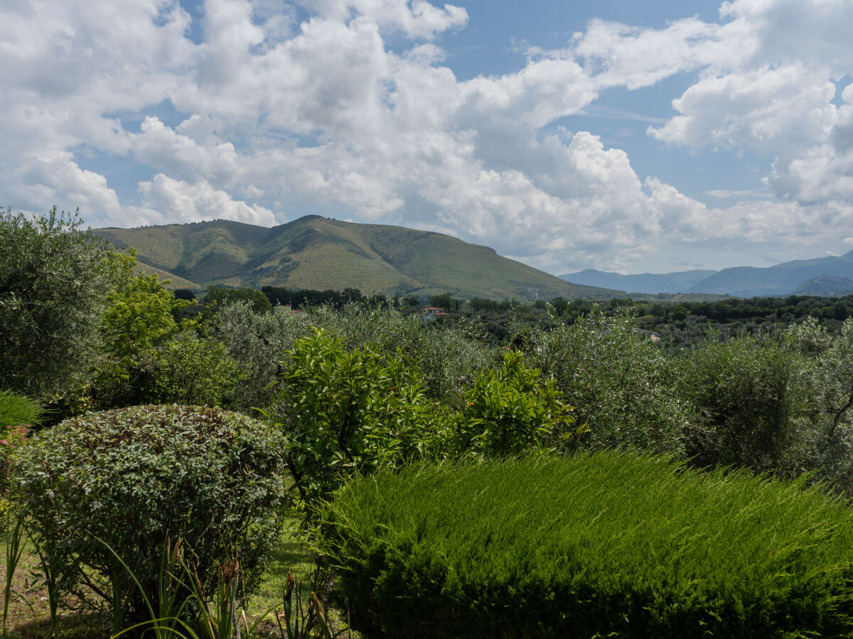 Olive Grove Sabina – Maison 6 pers. avec piscine - Photo 4