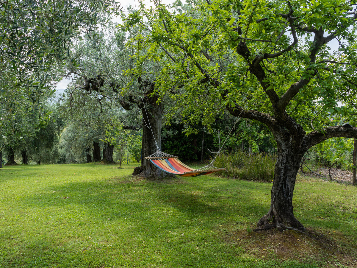 Olive Grove Sabina – Maison 6 pers. avec piscine - Photo 39