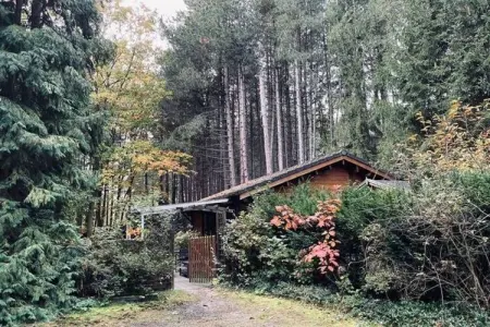 Chalet Kannaert à Nijlen, nature et intimité : photo 17