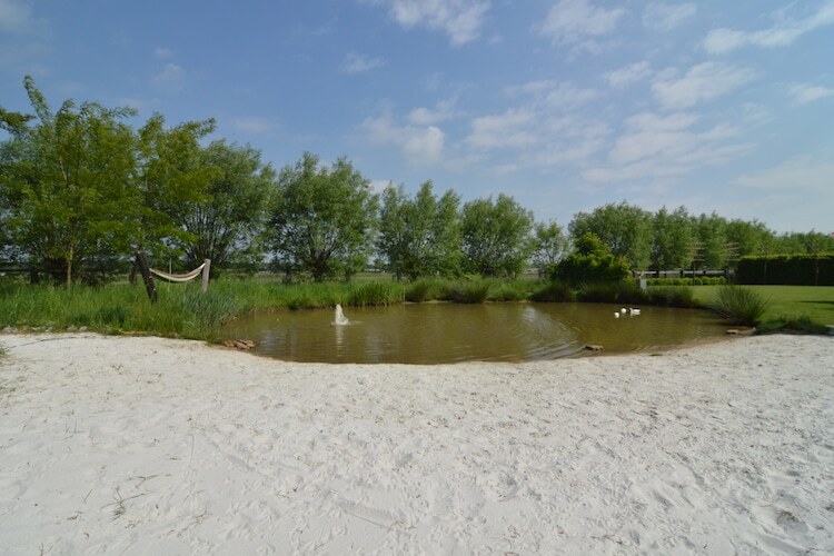 Ganzenweelde – Maison 8 pers. avec sauna à Geel - Photo 21