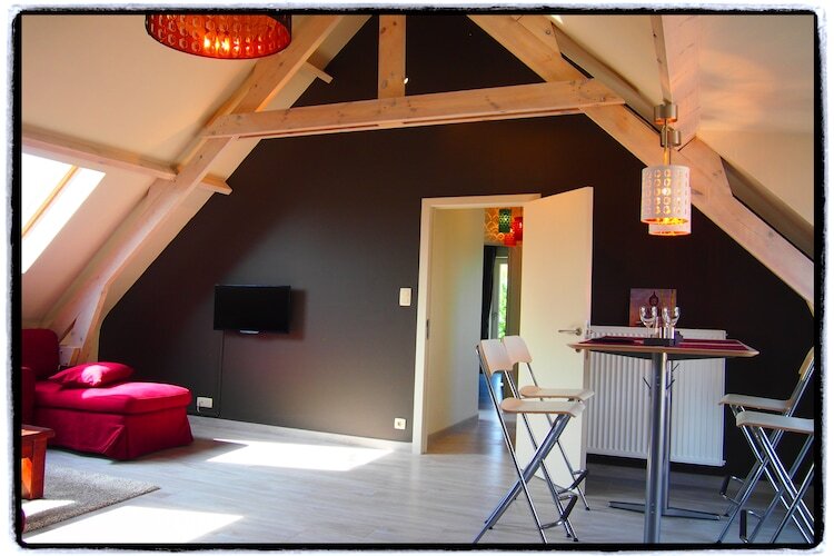 Maison 7 pers. Ellezelles : 2 cuisines, billard, 6 vélos - Photo 9