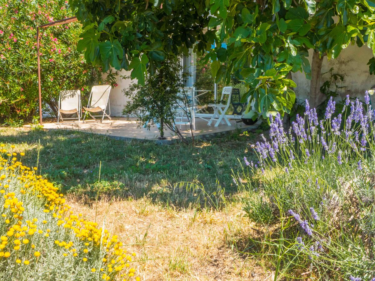 Maison vigneronne 4 pers. avec piscine à Murviel-les-Béziers - Photo 7