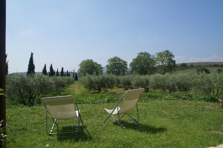 Maison vigneronne 4 pers. avec piscine à Murviel-les-Béziers - Photo 24