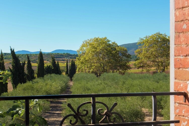 Maison vigneronne 4 pers. avec piscine à Murviel-les-Béziers - Photo 27