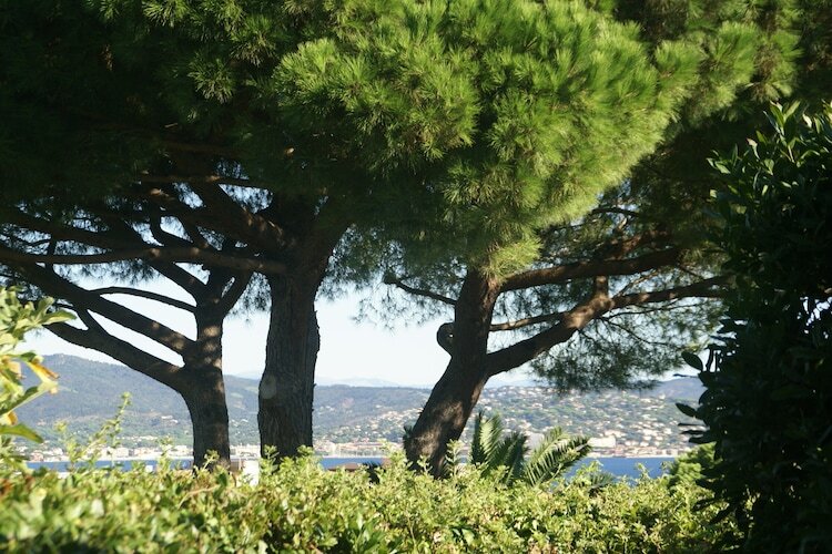Villa Saint Tropez – Piscine privée, 3 chambres - Photo 23