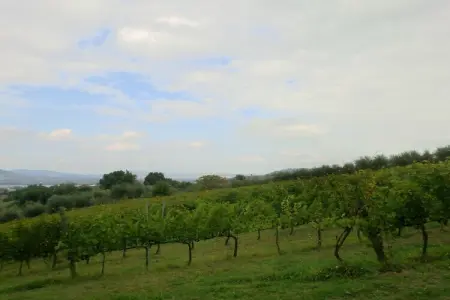 Salvia, maison à Pietrafitta entre deux lacs : photo 28