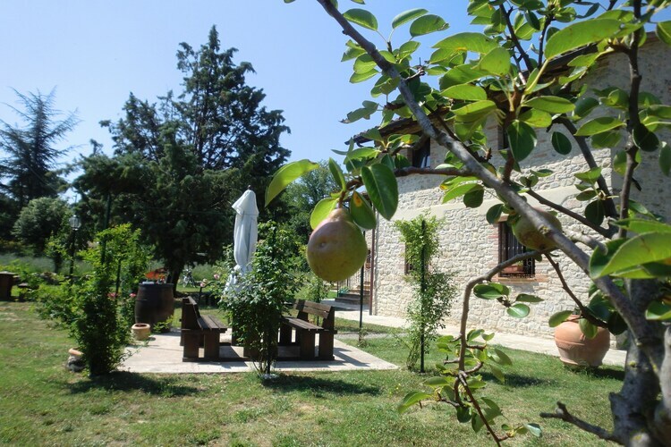 Lavanda, maison rurale 2 pers. à Pietrafitta - Photo 29