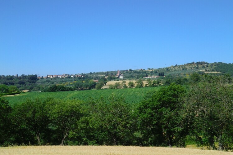 Lavanda, maison rurale 2 pers. à Pietrafitta - Photo 34