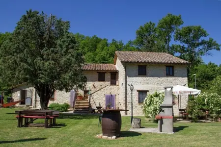 Lavanda, maison rurale 2 pers. à Pietrafitta : photo 6