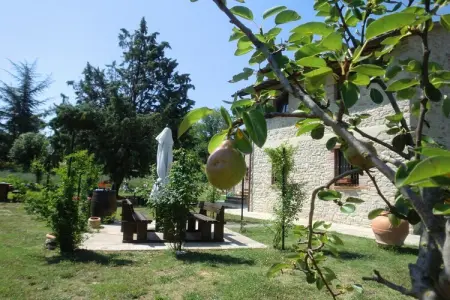 Lavanda, maison rurale 2 pers. à Pietrafitta : photo 29