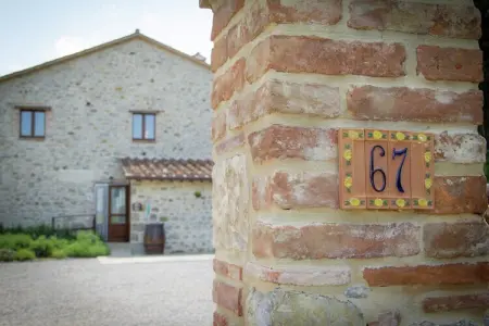 Lavanda, maison rurale 2 pers. à Pietrafitta : photo 40