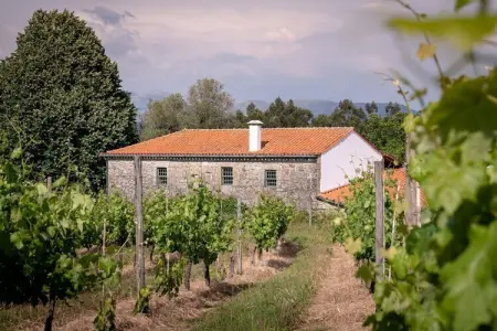 Location maison à Santa Cruz do Lima, Ponte de Lima, Manoir confortable א Ponte de Lima avec piscine