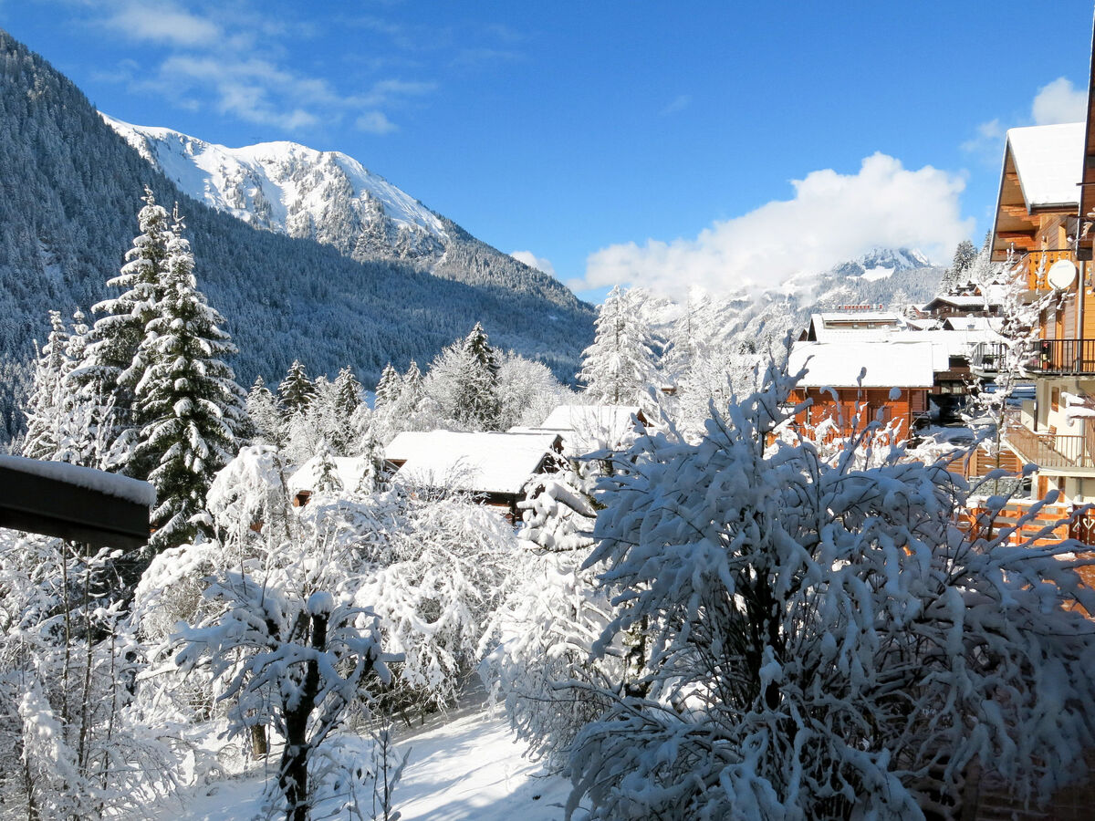 Le Petit Savoyard, chalet 3 pièces à Châtel - Photo 22