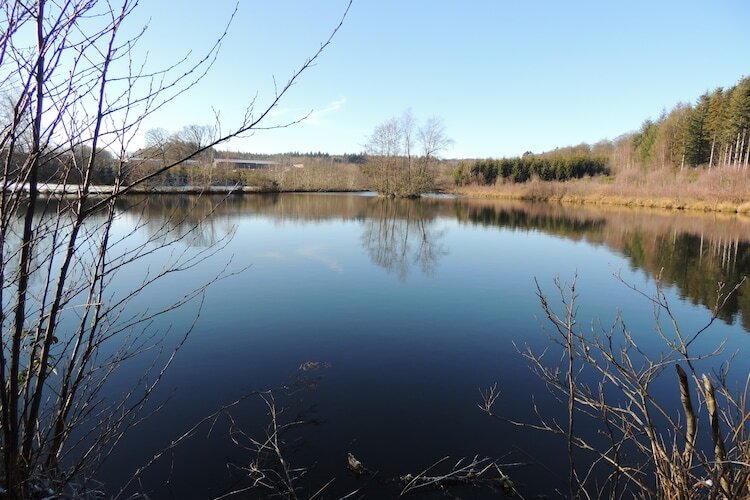 Domaine du Pichoux – Villa 5 pers. à 100 m du lac - Photo 44