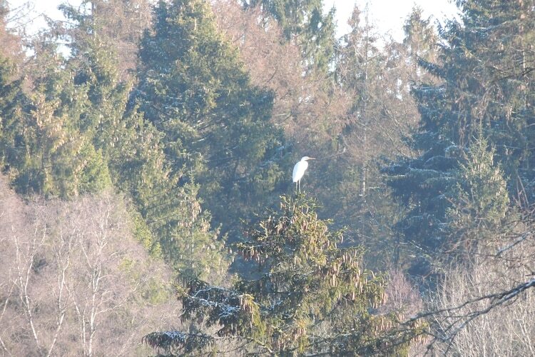 Domaine du Pichoux – Villa 5 pers. à 100 m du lac - Photo 46