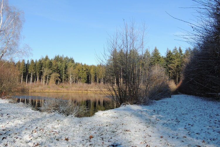 Domaine du Pichoux – Villa 5 pers. à 100 m du lac - Photo 52