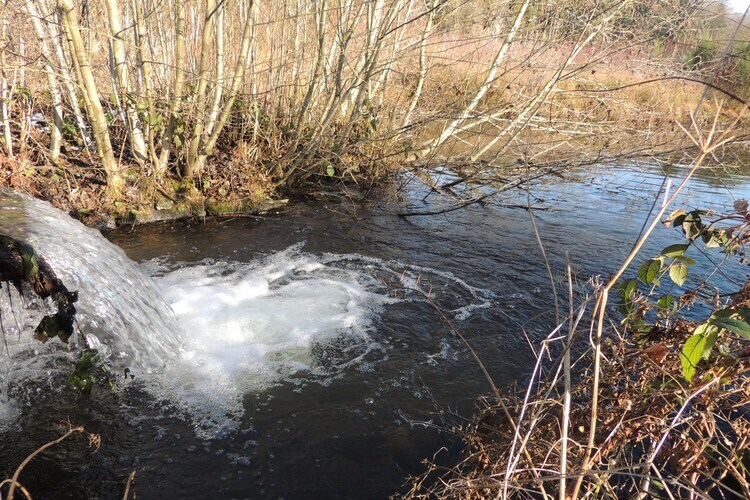Domaine du Pichoux – Villa 5 pers. à 100 m du lac - Photo 53