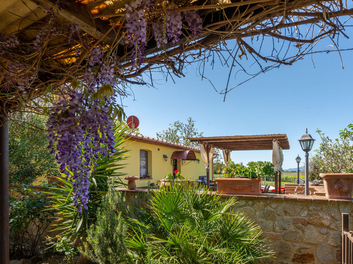 Bellosguardo, gîte 6 pers. avec piscine à Roccastrada - Photo 22