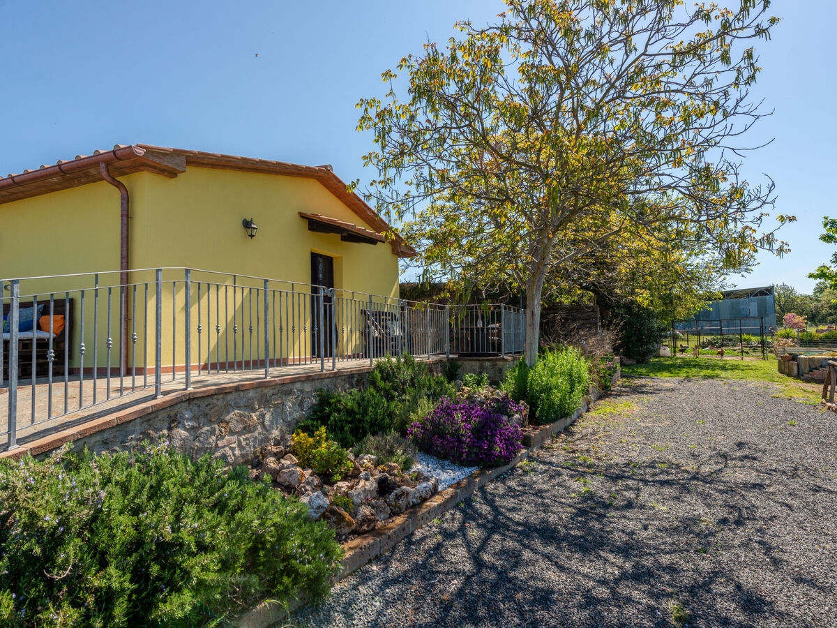 Bellosguardo, gîte 6 pers. avec piscine à Roccastrada - Photo 32