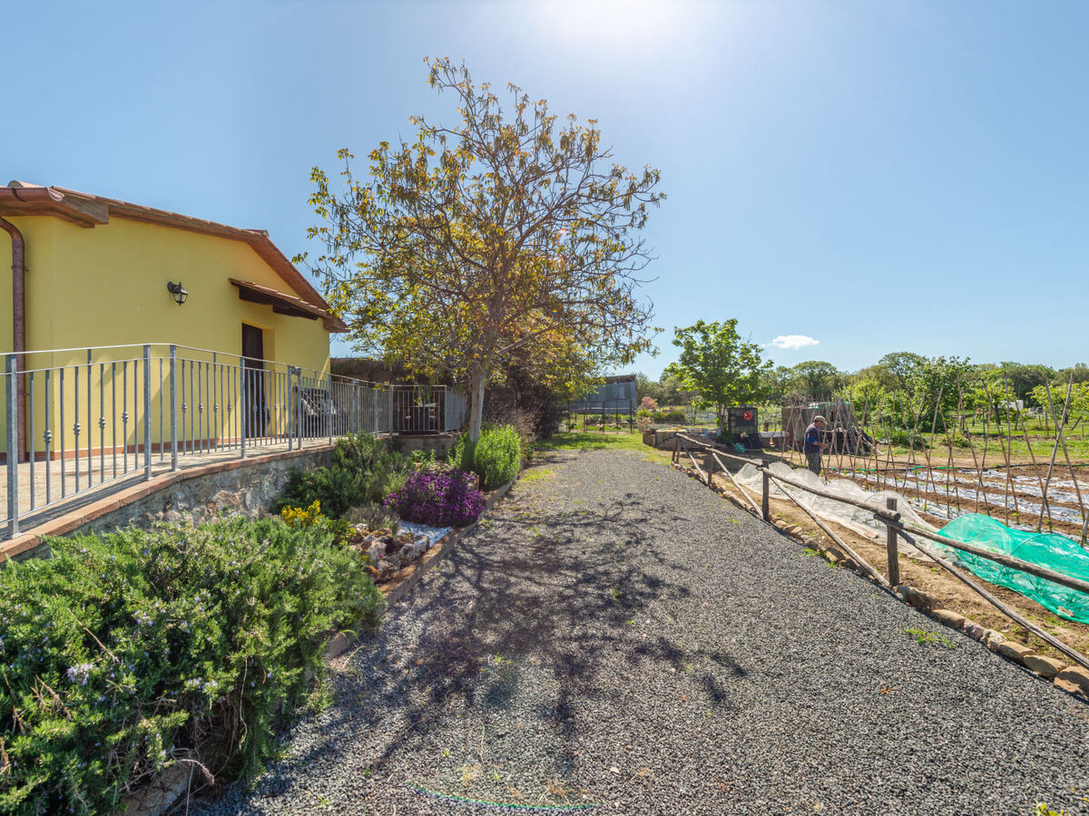 Bellosguardo, gîte 6 pers. avec piscine à Roccastrada - Photo 33