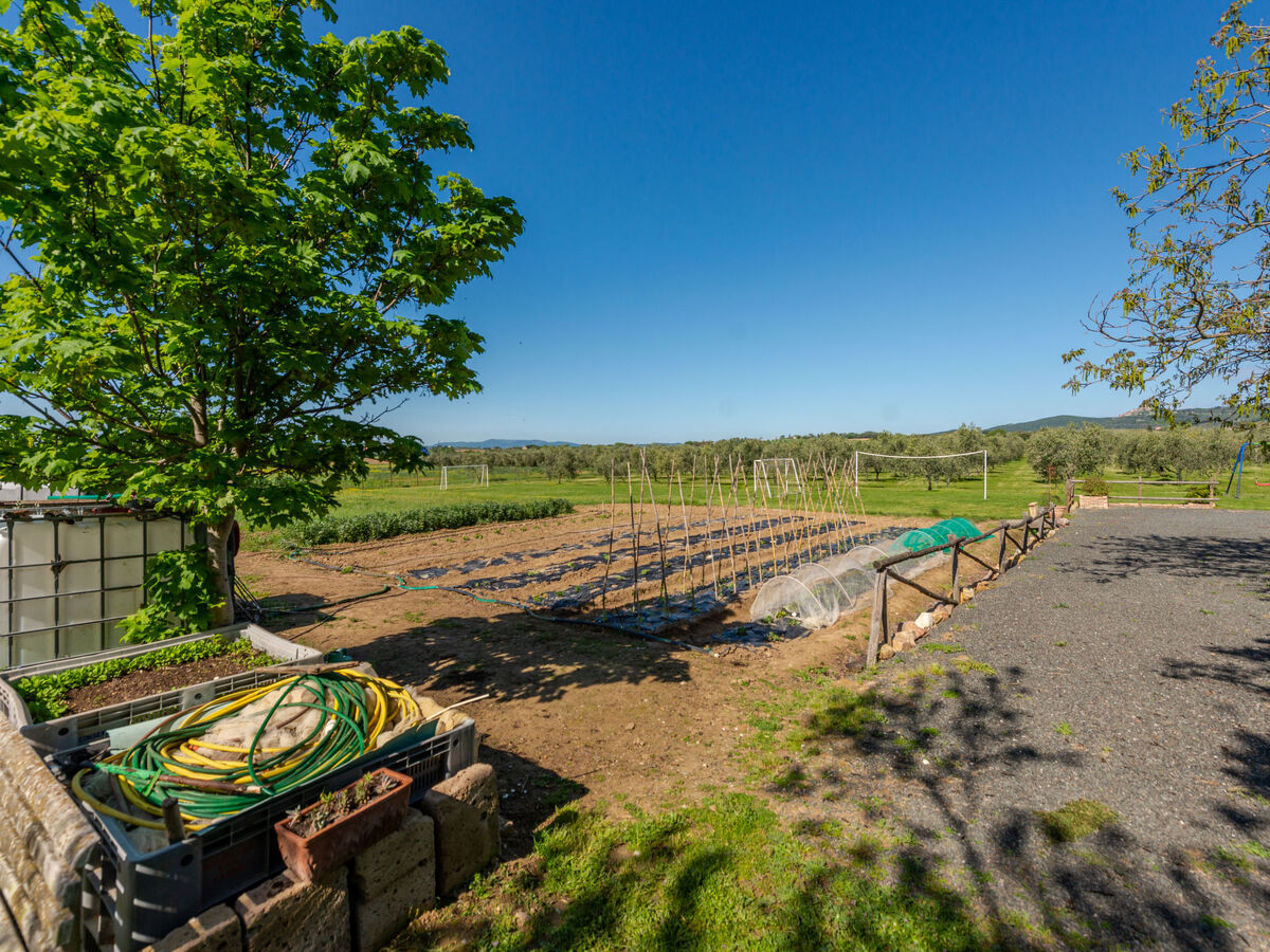 Bellosguardo, gîte 6 pers. avec piscine à Roccastrada - Photo 34