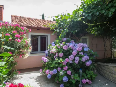 Catarina 1, Maison 4 personnes à Zadar - Photo 1