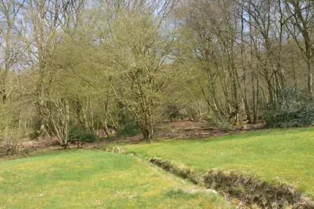 Le 51 – Maison 1 chambre avec vue vallée à Aywaille : photo 22
