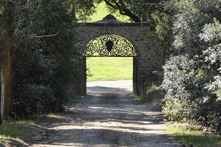 Il Castello del Cardinale, villa 8 chambres Toscane - Photo 35