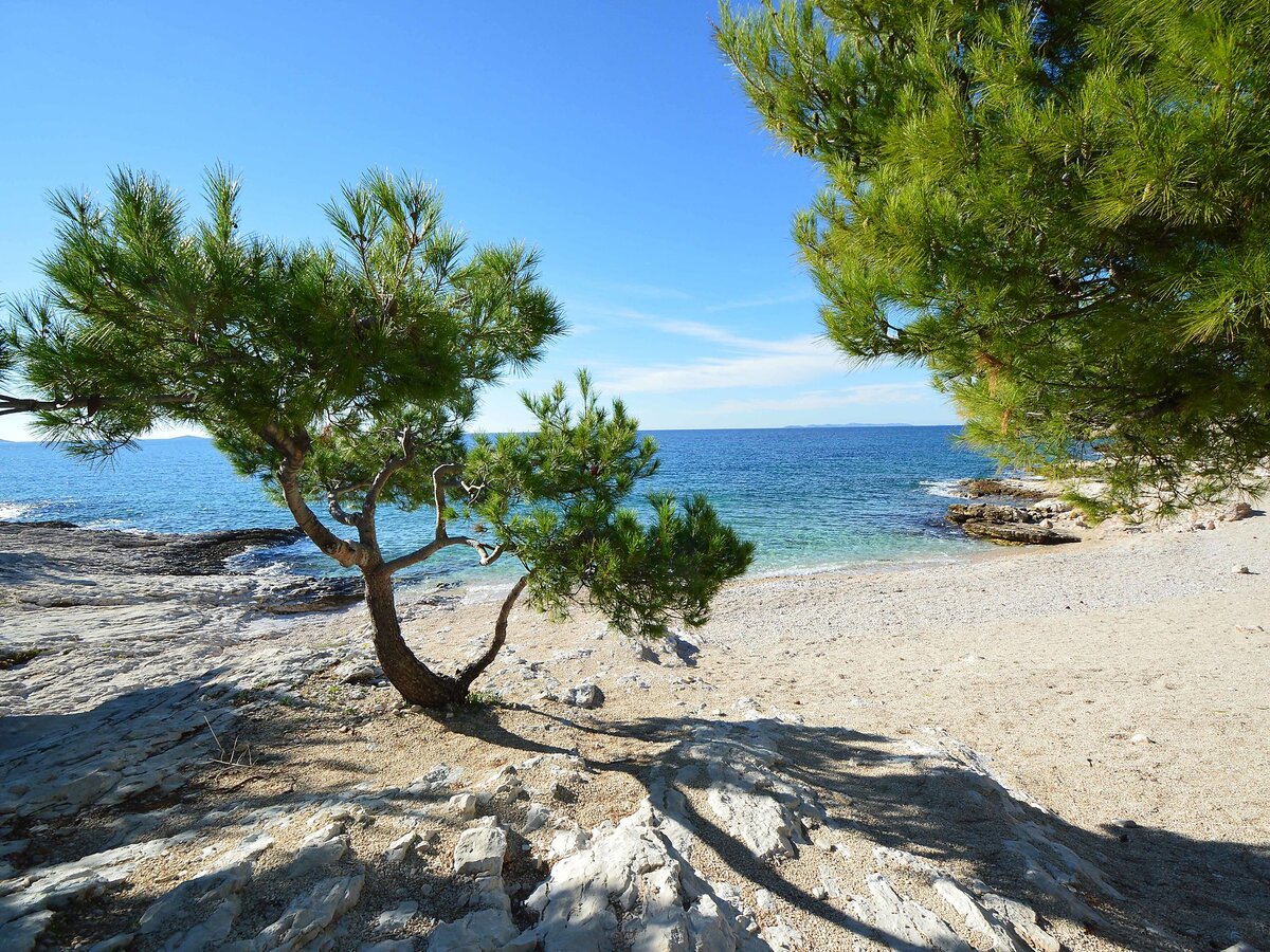 Maison Mira à Primošten, 370 m de la mer - Photo 17