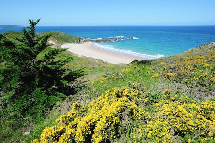 Maison 4 chambres à 700 m de la plage à Erquy - Photo 21