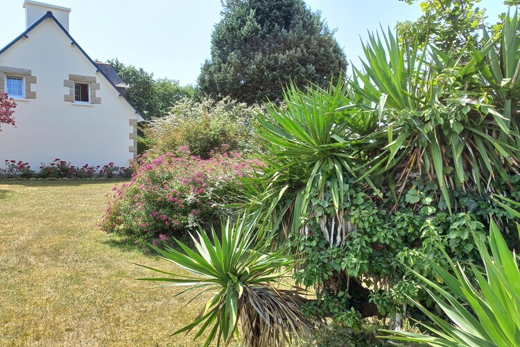 Maison 4 chambres Hénansal, 10 km des plages - Photo 34