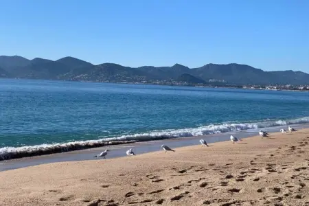 Vue mer, Villa pittoresque à Cannes avec piscine privée - Photo 24