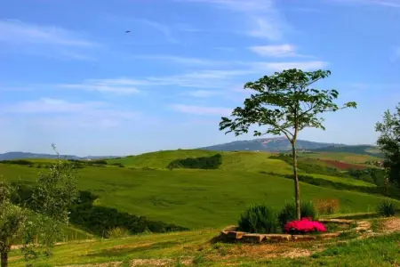 Edera, Agriturismo en Toscane avec Piscine et Vin - Photo 18