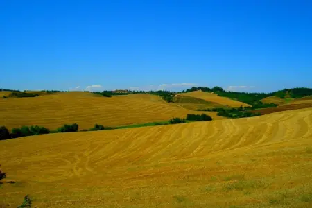 Edera, Agriturismo en Toscane avec Piscine et Vin - Photo 19