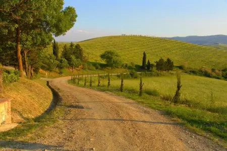 Edera, Agriturismo en Toscane avec Piscine et Vin - Photo 20