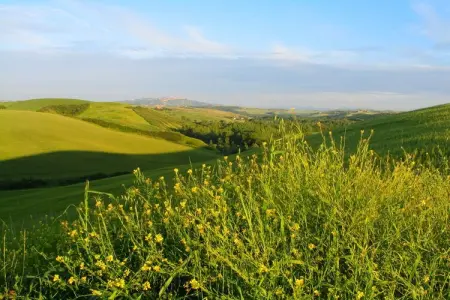 Edera, Agriturismo en Toscane avec Piscine et Vin - Photo 21