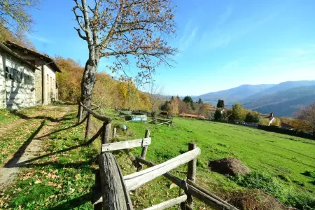 Partitoio Caprioli, Chalet en pierre tranquille : photo 25