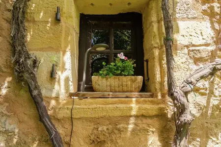 Les Raneaux : maison 12 pers., piscine chauffée et jeux : photo 39