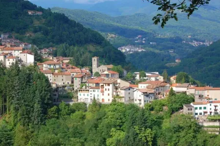 ilTramonto : maison de campagne avec piscine à Popiglio : photo 26