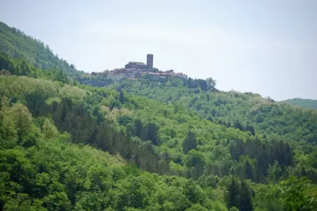 ilTramonto : maison de campagne avec piscine à Popiglio : photo 29