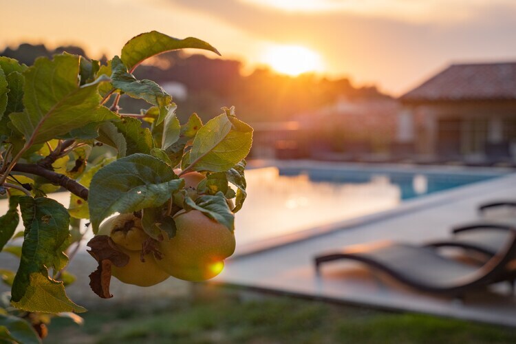 La Colline de Rêve : villa 6 chambres, piscine chauffée à Apt - Photo 47
