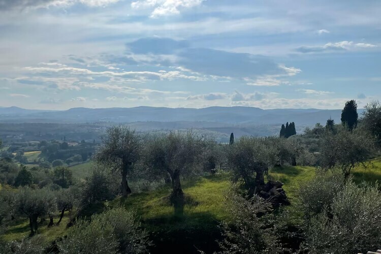 Gîte rural à Sinalunga avec piscines et terrasse - Photo 30
