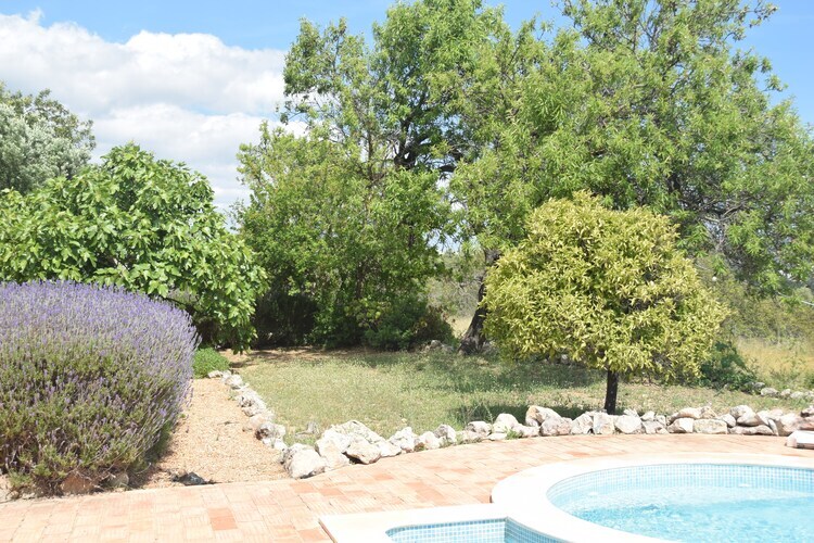 Quinta Amarela – Villa 6 pers. avec piscine et vue mer à Loulé - Photo 35