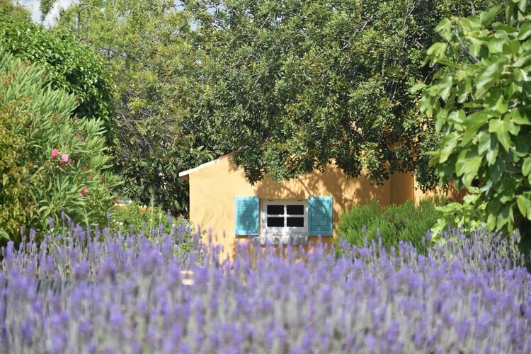Quinta Amarela XXL – Maison 8 pers. avec piscine à Loulé - Photo 9