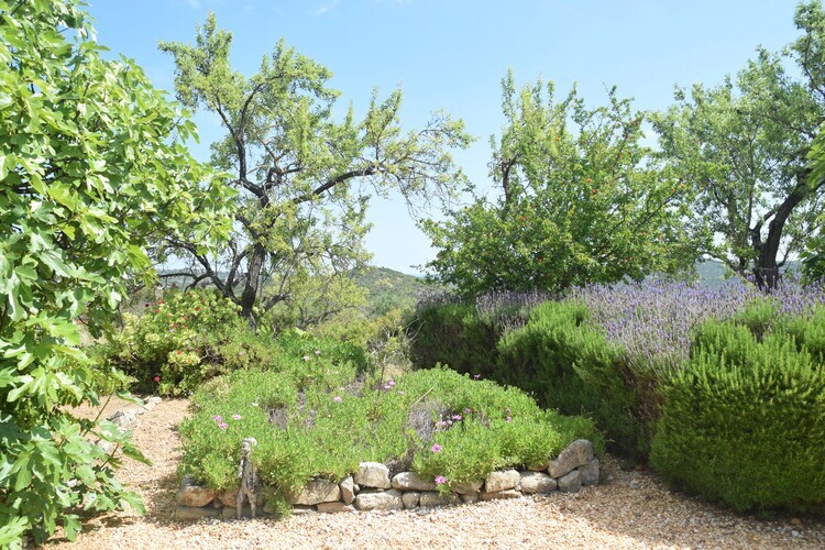 Quinta Amarela XXL – Maison 8 pers. avec piscine à Loulé - Photo 32